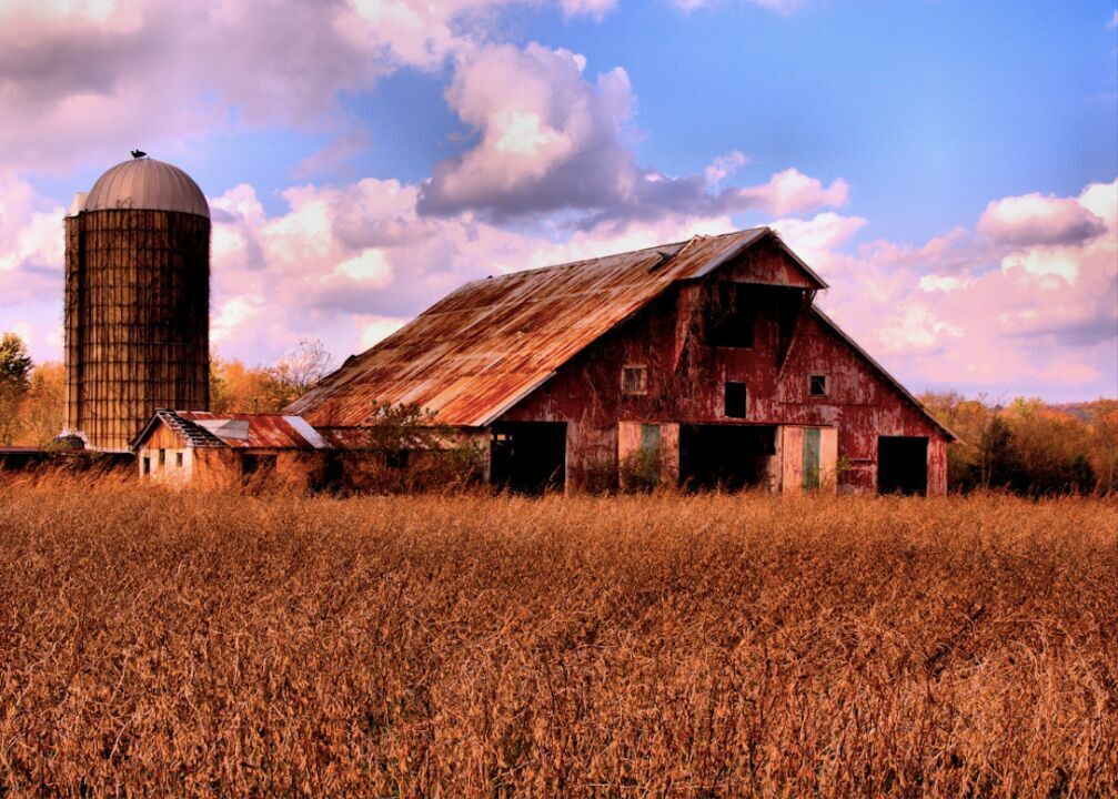#29. Tennessee
